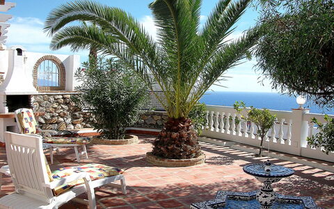 Villa Mimosa: Proprietà, Albero, Palma, Immobiliare, Costruzione, Arecales, Vacanza, Blu Majorelle, Azzurro, Casa