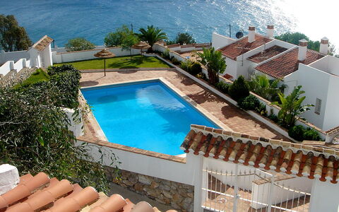 Villa Mimosa: Proprietà, Piscina, Azzurro, Immobiliare, Casa, Costruzione, Vacanza, Ricorrere, Casa, Tempo Libero