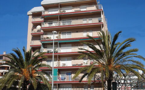 Paisos Catalans: Architettura, Costruzione, Proprietà, Zona Residenziale, Condominio, Appartamento, Albero, Immobiliare, Uso Misto, Palma