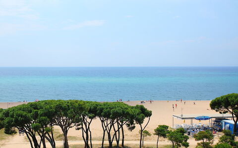 Paisos Catalans: Mare, Spiaggia, Albero, Cielo, Costa, Riva, Orizzonte, Oceano, Vacanza, Turismo