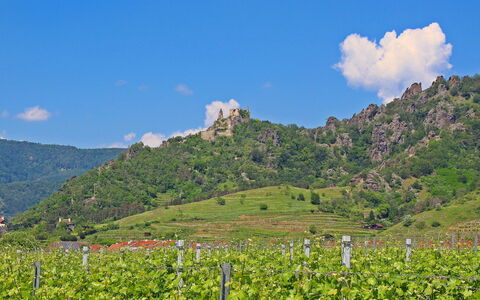 Haus Fries: Montagna, Nube, Cielo, Pianta, Comunita 'Impianto, Ecoregione, Natura, Paesaggio Naturale, Foglia, Ambiente Naturale