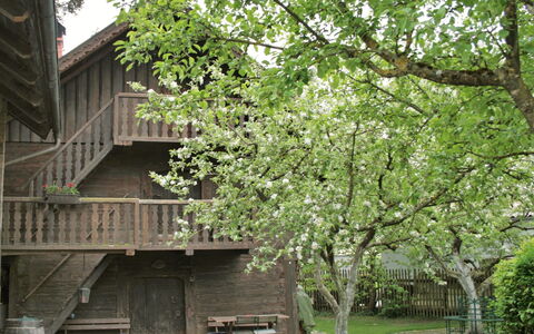 Troadkasten: Albero, Casa, Woody Impianto, Pianta, Primavera, Architettura, Costruzione, Foglia, Legna, Ramo