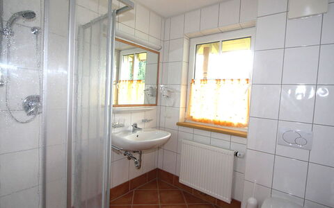 Altenmarkt im Pongau 300: Bagno, Proprietà, Camera, Piastrella, Pavimento, Costruzione, Interior Design, Immobiliare, Casa, Architettura