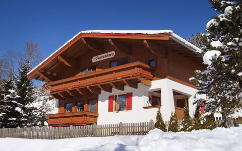 Haus am Sonnenhang: Cielo, Neve, Albero, Legna, Pendenza, Larice, Villetta, Congelamento, Facciata, Pianta