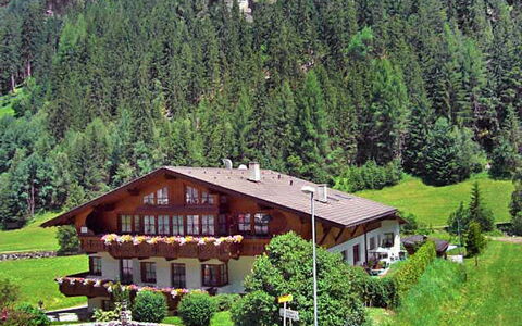 Alpengruss: Pianta, Costruzione, Proprietà, Albero, Paesaggio Naturale, Casa, Finestra, Lotto, Larice, Villetta