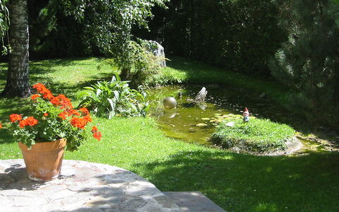 Pettneu am Arlberg 250: Giardino, Prato, Paesaggio Naturale, Erba, Cortile, Botanica, Landscaping, Paesaggio, Giardino Botanico, Arbusto