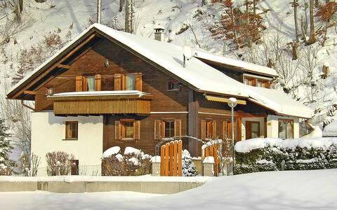 Josefine: Pianta, Costruzione, Neve, Finestra, Porta, Casa, Albero, Ramo, Villetta, Legna