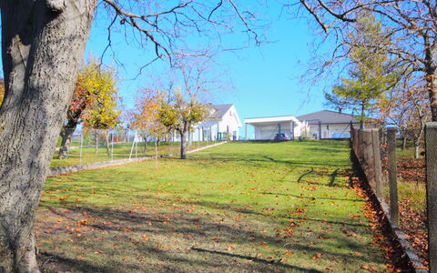 Friedl: Ramo, Albero, Foglia, Paesaggio, Ramoscello, Plain, Prato, Casa, Area Rurale, Mattina