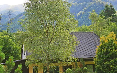 Richter: Natura, Albero, Vegetazione, Casa, Montagna, Hill Station, Proprietà, Geografia Montane, Casa, Tetto
