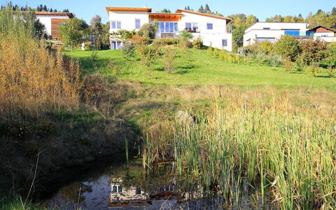 Carinthia: Paesaggio Naturale, Acqua, Vegetazione, Ambiente Naturale, Banca, Waterway, Riserva Naturale, Fiume, Graminacee