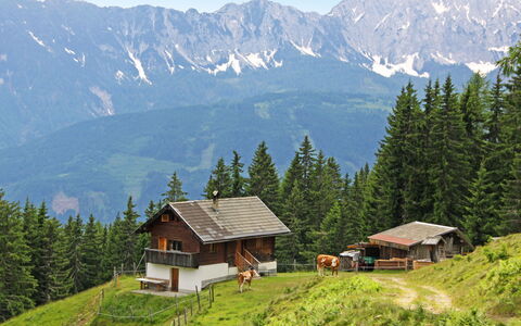 Wassertheureralm: Cielo, Pianta, Montagna, Costruzione, Ecoregione, Verde, Natura, Paesaggio Naturale, Albero, Larice