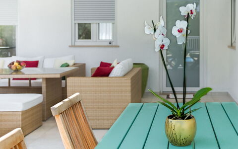 Umag Zambratija 425: Tavolo, Pianta, Mobilia, Fiore, Finestra, Verde, Vaso Di Fiori, Costruzione, Legna, Interior Design