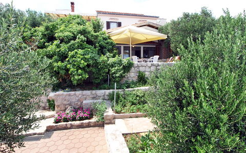 Mirta: Proprietà, Casa, Immobiliare, Giardino, Casa, Albero, Backyard, Botanica, Cortile, Paesaggio
