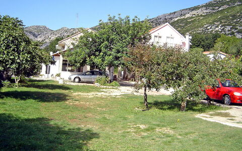 Balota: Proprietà, Veicolo A Motore, Erba, Casa, Natura Selvaggia, Veicolo, Albero, Montagna, Casa, Prato