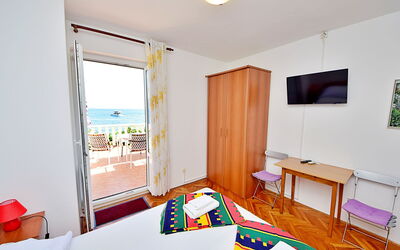 Trstenik 100