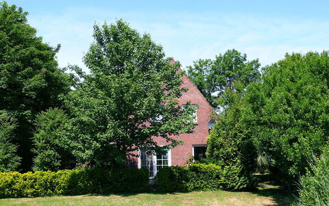 Natur Pur am Nordseedeich: Albero, Verde, Proprietà, Casa, Paesaggio Naturale, Erba, Casa, Cielo, Woody Impianto, Foglia