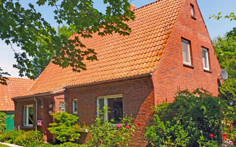 Natur Pur am Nordseedeich: Pianta, Costruzione, Proprietà, Finestra, Cielo, Casa, Villetta, Albero, Brick, Legna