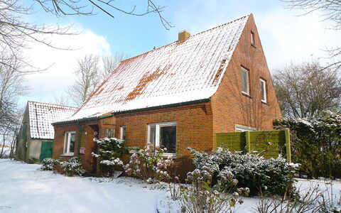 Natur Pur am Nordseedeich: Pianta, Cielo, Costruzione, Neve, Nube, Finestra, Casa, Albero, Paesaggio Naturale, Ramoscello