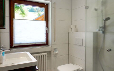 Pension Himmelsbach: Proprietà, Idraulico Fixture, Lavello, Bagno, Toilet Seat, Viola, Finestra, Specchio, Rubinetto