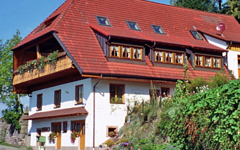 Schiltach 100: Pianta, Costruzione, Finestra, Cielo, Albero, Casa, Legna, Villetta, Tempo Libero