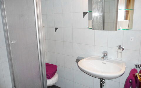 Haus Sacherer: Bagno, Proprietà, Camera, Viola, Parete, Idraulico Fixture, Piastrella, Rosa, Rubinetto, Architettura