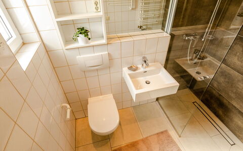 Hochwald: Idraulico Fixture, Lavello, Proprietà, Rubinetto, Lavandino Del Bagno, Bagno, Gabinetto, Viola, Interior Design, Pavimentazione