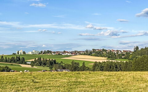 Mily: Blu, Giorno, Verde, Erba, Pascolo, Plain, Campo, Paesaggio, Orizzonte, Estate