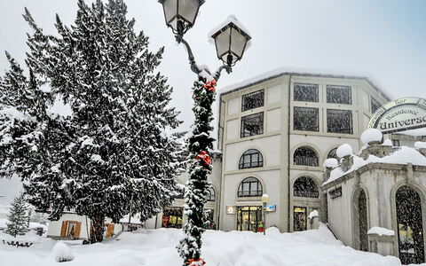 Courmayeur 100: Cielo, Montagna, Pianta, Comunita 'Impianto, Albero, Ambiente Naturale, Larice, Paesaggio Naturale, Highland, Pendenza