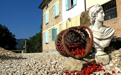 Busani: Finestra, Cielo, Costruzione, Foglia, Casa, Arte, Tinte E Ombre, Scultura, Albero, Facciata