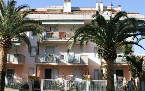 Troiani: Costruzione, Proprietà, Architettura, Palma, Albero, Cittadina, Casa, Uso Misto, Hotel, Arecales