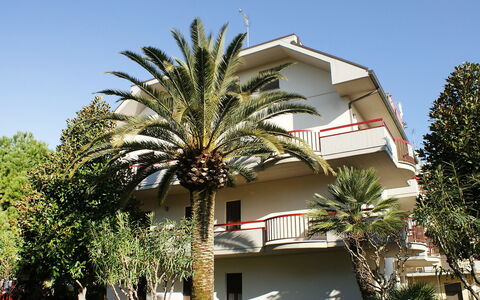 Magnolia: Albero, Proprietà, Palma, Casa, Costruzione, Casa, Architettura, Zona Residenziale, Arecales, Immobiliare