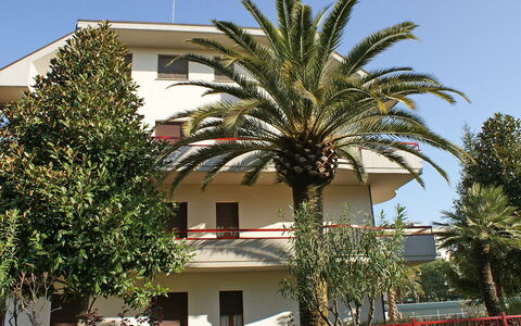 Magnolia: Cielo, Pianta, Proprietà, Costruzione, Finestra, Albero, Architettura, Vegetazione, Arecales, Impianto Terrestre