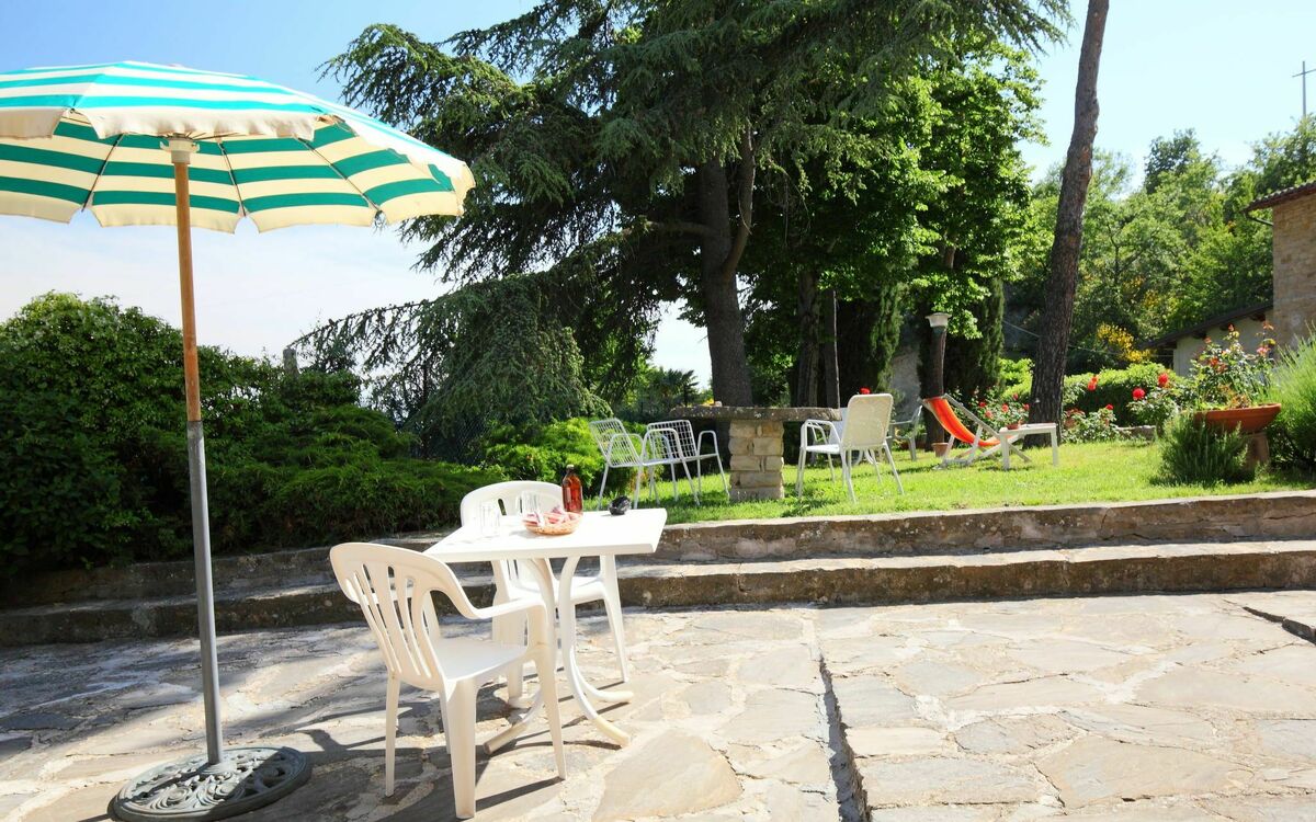 Assisi 100