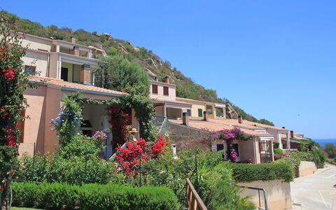 Costa Rei 100: Cielo, Pianta, Fiore, Costruzione, Finestra, Vegetazione, Casa, Albero, Quartiere, Parete