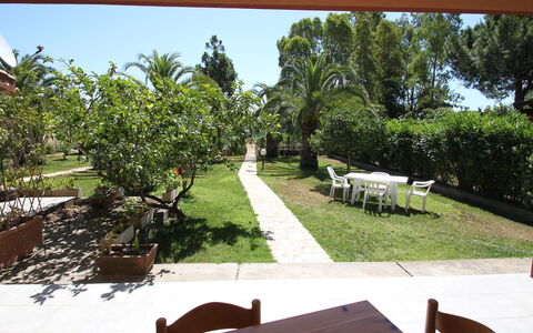 Costa Rei 180: Pianta, Proprietà, Cielo, Mobilia, Natura, Shade, Botanica, Albero, Lotto, Mobili Da Esterno