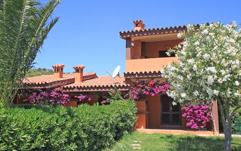 Costa Rei 180: Cielo, Fiore, Pianta, Costruzione, Proprietà, Finestra, Casa, Albero, Arbusto, Tempo Libero
