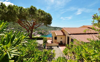 Casa vacanza Capoliveri 850 - Piombino, Toscana, Italia - Punta Morcone 850.5