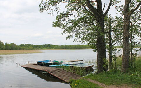 Letniskowa 29: Paesaggio Naturale, Acqua, Natura, Albero, Banca, Fiume, Ambiente Naturale, Riserva Naturale, Lago, Waterway