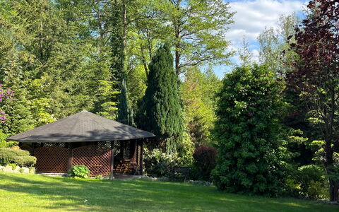 Willa Teresa: Albero, Foglia, Verde, Natura, Vegetazione, Giardino, Arbusto, Comunita 'Impianto, Lotto