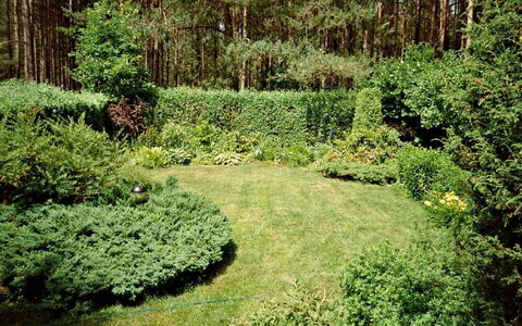 Borek Sulęcki: Paesaggio Naturale, Vegetazione, Albero, Verde, Ambiente Naturale, Arbusto, Giardino, Biome, Riserva Naturale, Pianta