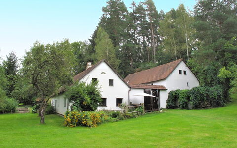 Benešov Nad Černou: Pianta, Cielo, Proprietà, Costruzione, Paesaggio Naturale, Albero, Casa, Lotto, Villetta, Erba