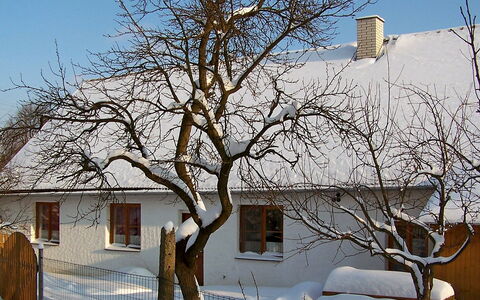 Chrastov: Neve, Cielo, Costruzione, Giorno, Proprietà, Finestra, Bianca, Mondo, Ramoscello, Ramo