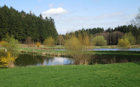 Chrastov: Acqua, Pianta, Cielo, Nube, Paesaggio Naturale, Albero, Lago, Lotto, Erba