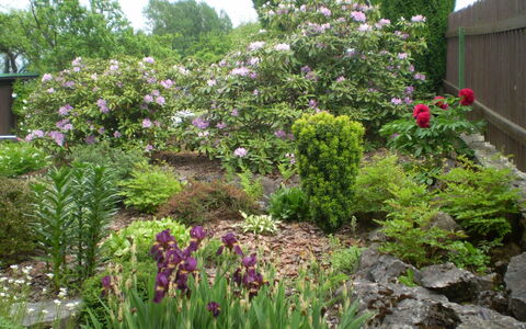 Jesenný: Fiore, Pianta Fiorita, Giardino, Pianta, Vegetazione, Cortile, Arbusto, Botanica, Graminacee, Landscaping