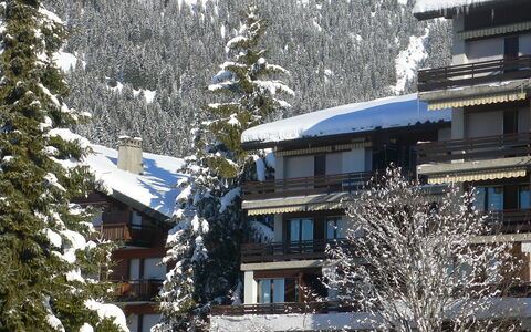 Villars 130: Neve, Inverno, Proprietà, Albero, Congelamento, Casa, Casa, Tetto, Ramo, Pine Famiglia