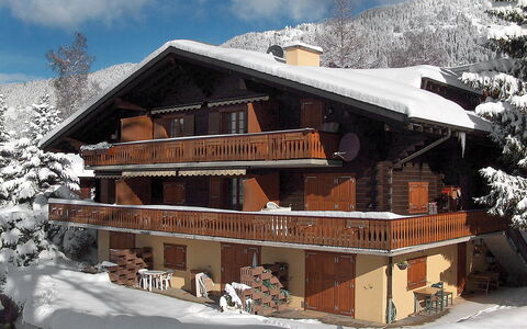 Goeland N°4: Nube, Cielo, Costruzione, Neve, Finestra, Pianta, Casa, Legna, Pendenza, Albero