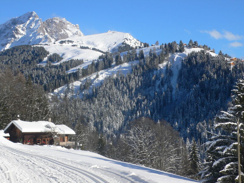 Villars 784