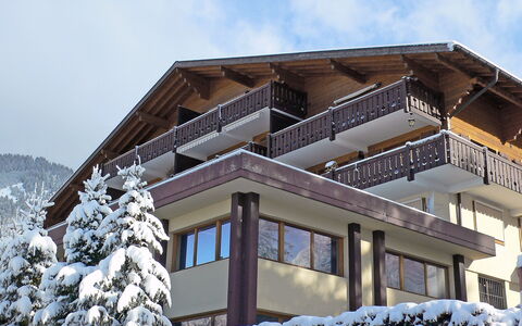 Grand-Pont 15: Cielo, Costruzione, Nube, Finestra, Neve, Pendenza, Legna, Casa, Immobiliare, Congelamento
