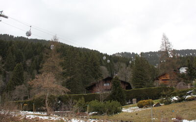 Dauphin 7