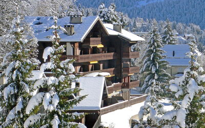 Villars 976: Neve, Costruzione, Natura, Pianta, Casa, Finestra, Ramo, Pendenza, Congelamento, Larice